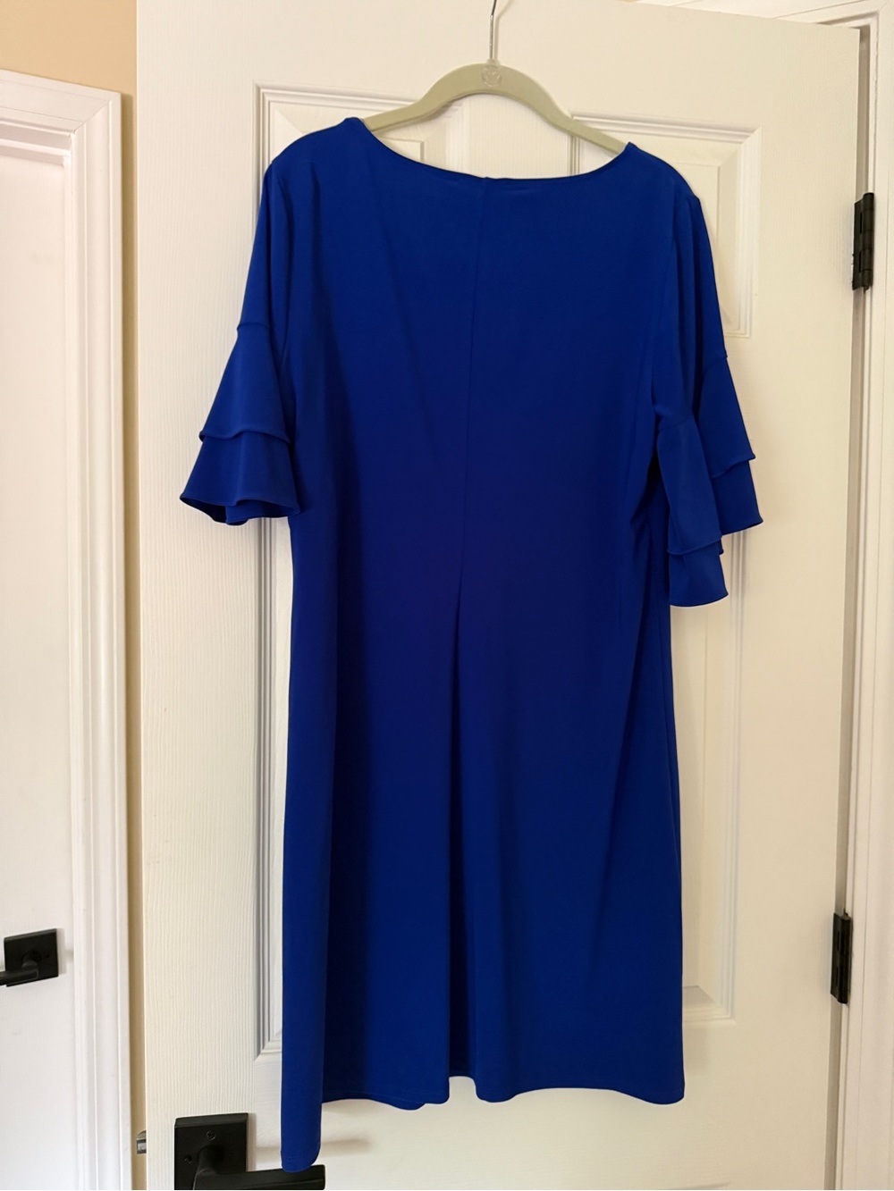 MSK Ruffle Sleeve Dress - Picture 2 of 3